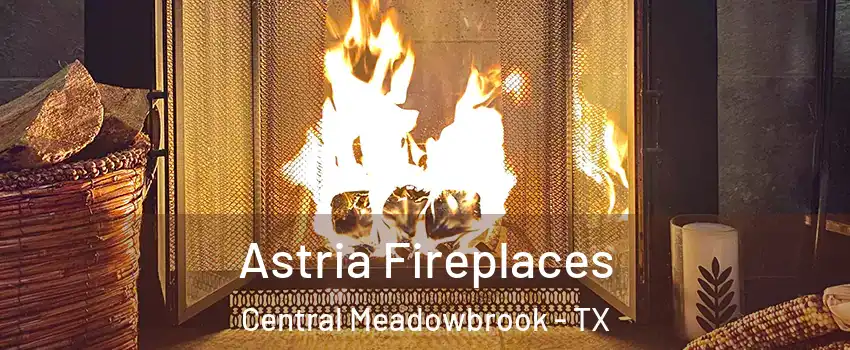 Astria Fireplaces Central Meadowbrook - TX