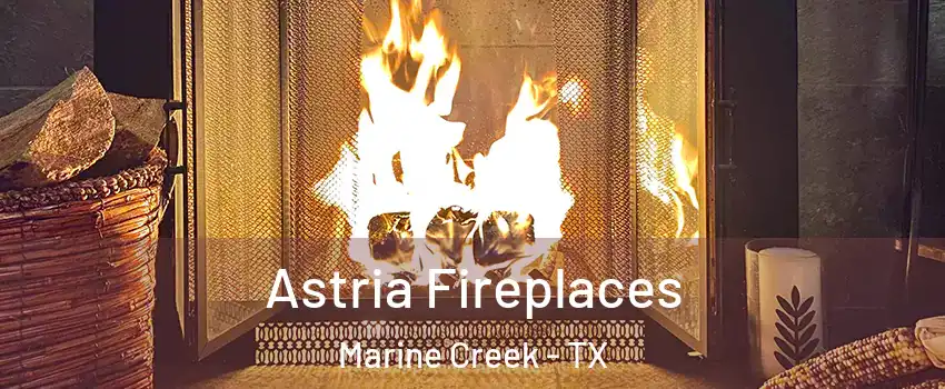 Astria Fireplaces Marine Creek - TX