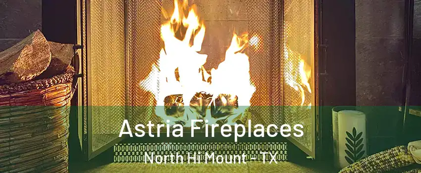 Astria Fireplaces North Hi Mount - TX