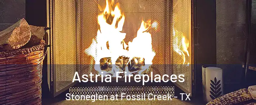 Astria Fireplaces Stoneglen at Fossil Creek - TX