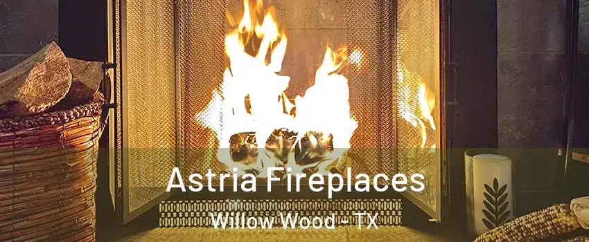 Astria Fireplaces Willow Wood - TX