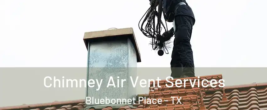 Chimney Air Vent Services Bluebonnet Place - TX