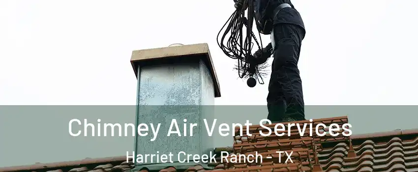 Chimney Air Vent Services Harriet Creek Ranch - TX