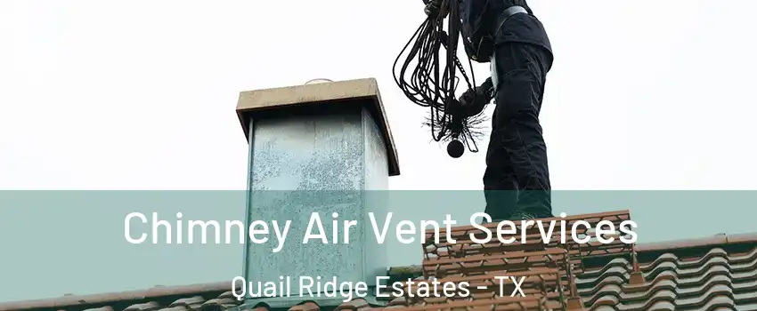 Chimney Air Vent Services Quail Ridge Estates - TX