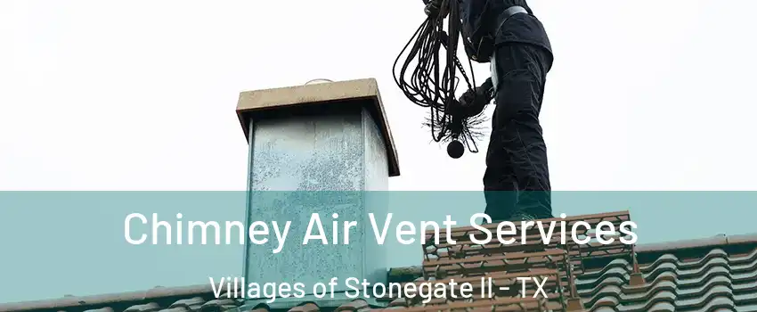 Chimney Air Vent Services Villages of Stonegate II - TX