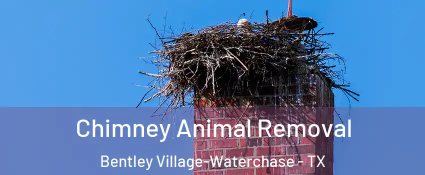Chimney Animal Removal Bentley Village-Waterchase - TX