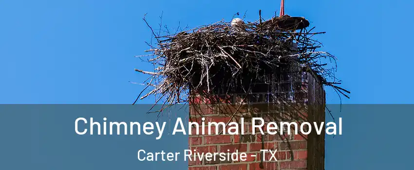 Chimney Animal Removal Carter Riverside - TX