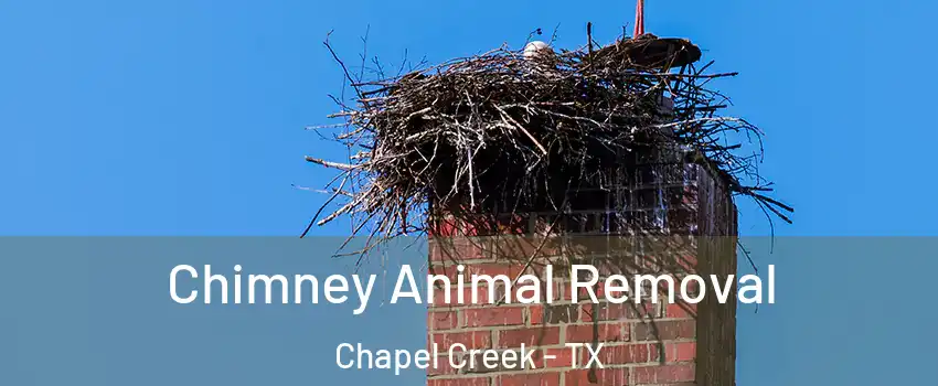 Chimney Animal Removal Chapel Creek - TX