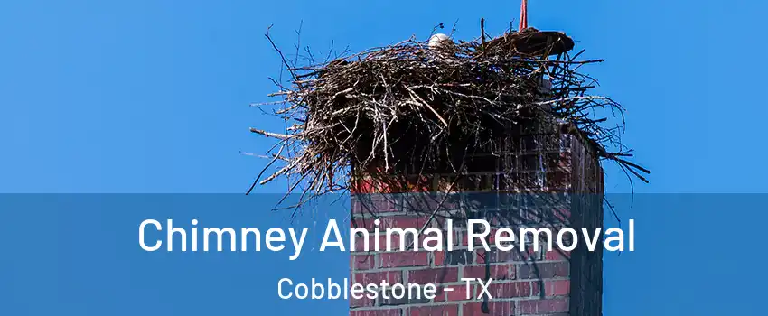 Chimney Animal Removal Cobblestone - TX