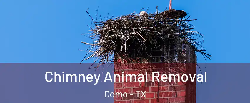 Chimney Animal Removal Como - TX