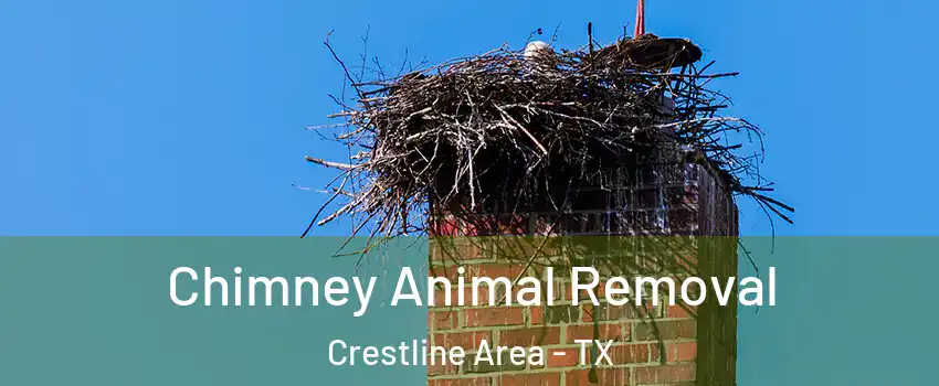 Chimney Animal Removal Crestline Area - TX