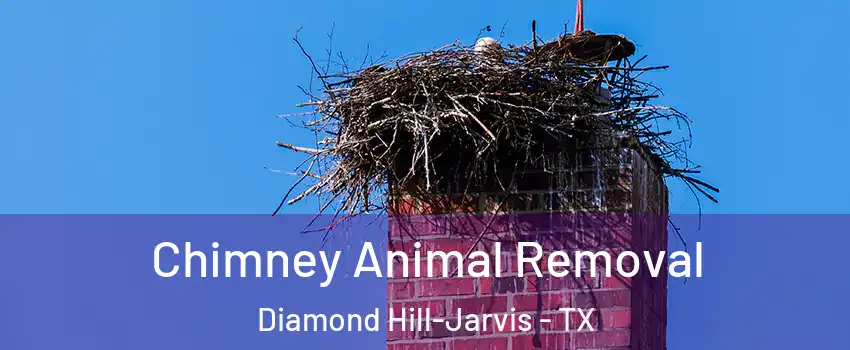 Chimney Animal Removal Diamond Hill-Jarvis - TX