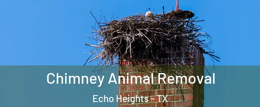 Chimney Animal Removal Echo Heights - TX