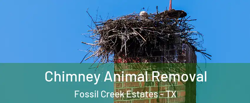 Chimney Animal Removal Fossil Creek Estates - TX