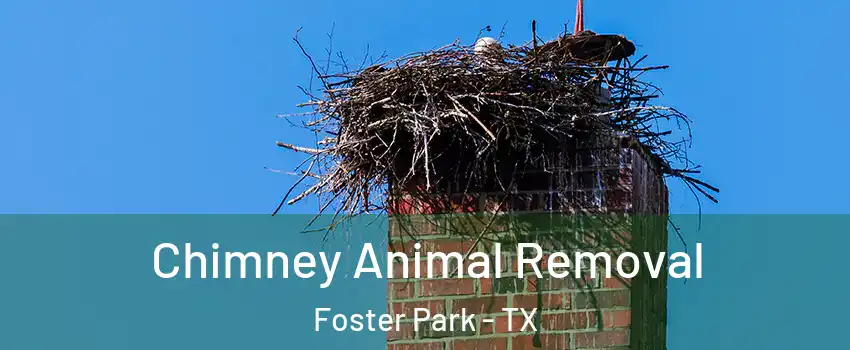 Chimney Animal Removal Foster Park - TX