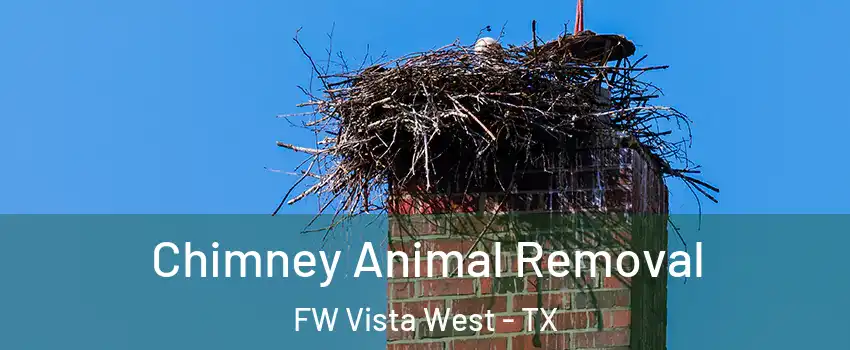 Chimney Animal Removal FW Vista West - TX