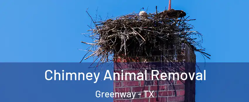 Chimney Animal Removal Greenway - TX