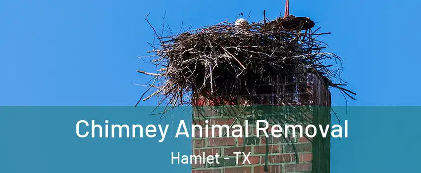 Chimney Animal Removal Hamlet - TX