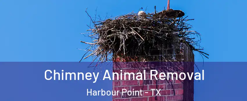Chimney Animal Removal Harbour Point - TX