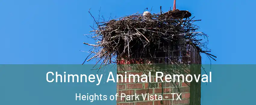Chimney Animal Removal Heights of Park Vista - TX