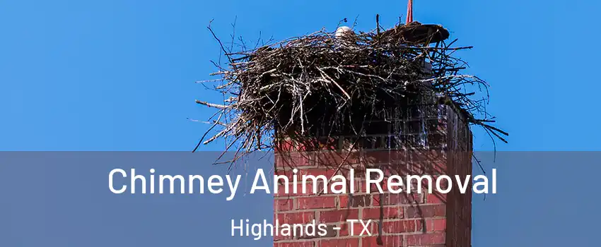 Chimney Animal Removal Highlands - TX