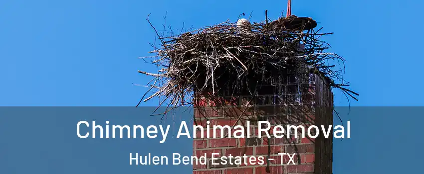 Chimney Animal Removal Hulen Bend Estates - TX
