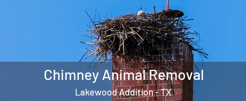 Chimney Animal Removal Lakewood Addition - TX