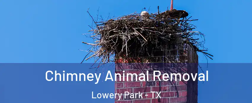 Chimney Animal Removal Lowery Park - TX