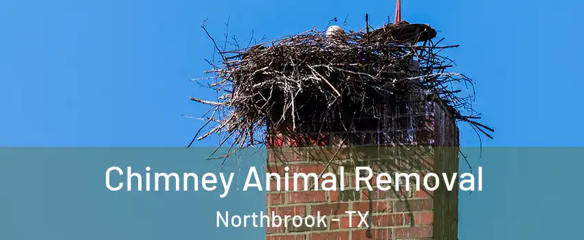 Chimney Animal Removal Northbrook - TX