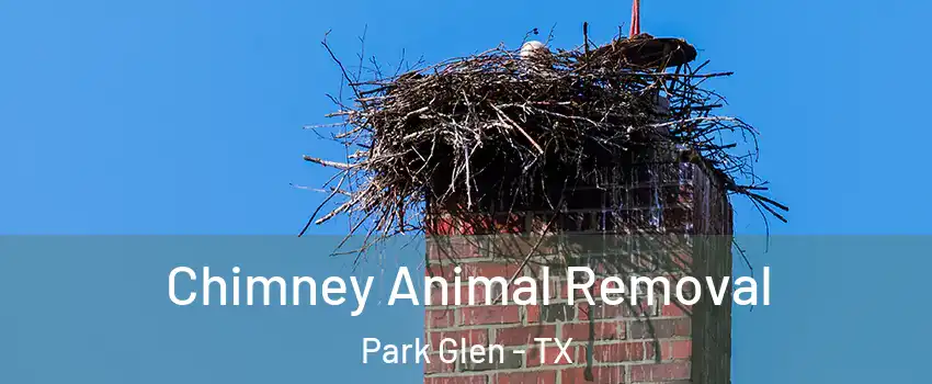 Chimney Animal Removal Park Glen - TX