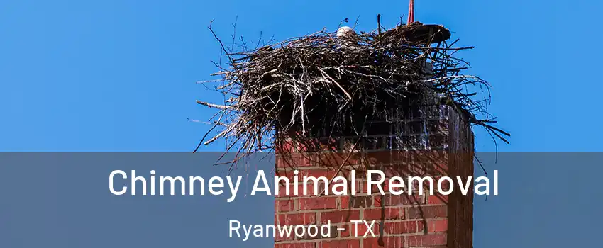Chimney Animal Removal Ryanwood - TX