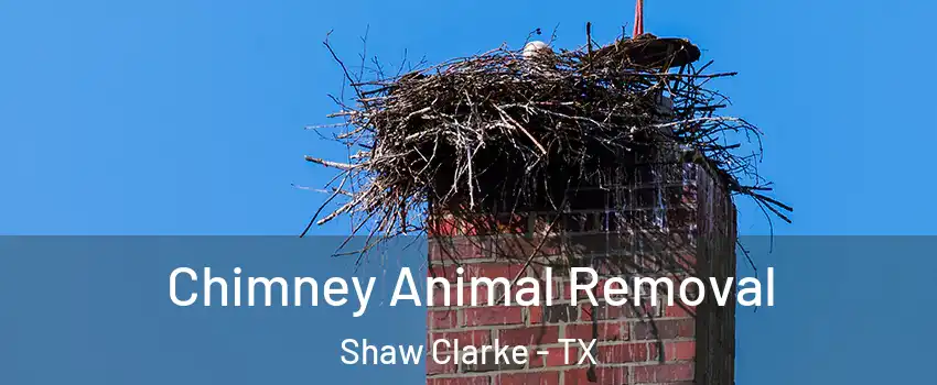 Chimney Animal Removal Shaw Clarke - TX