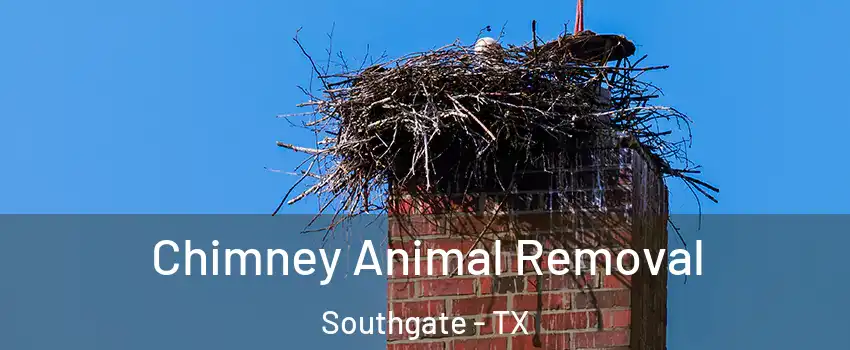 Chimney Animal Removal Southgate - TX
