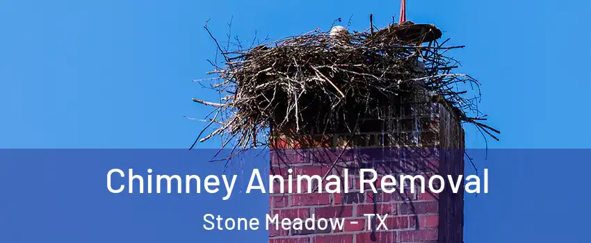 Chimney Animal Removal Stone Meadow - TX