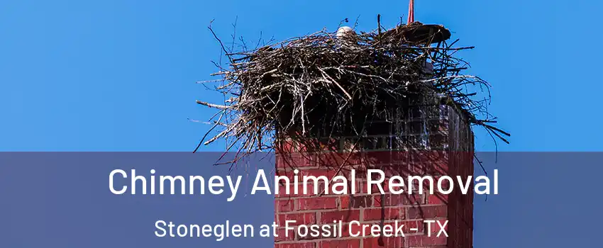 Chimney Animal Removal Stoneglen at Fossil Creek - TX