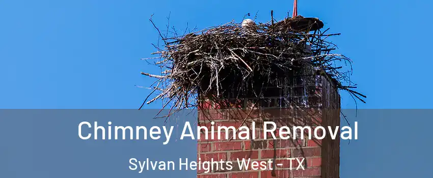 Chimney Animal Removal Sylvan Heights West - TX