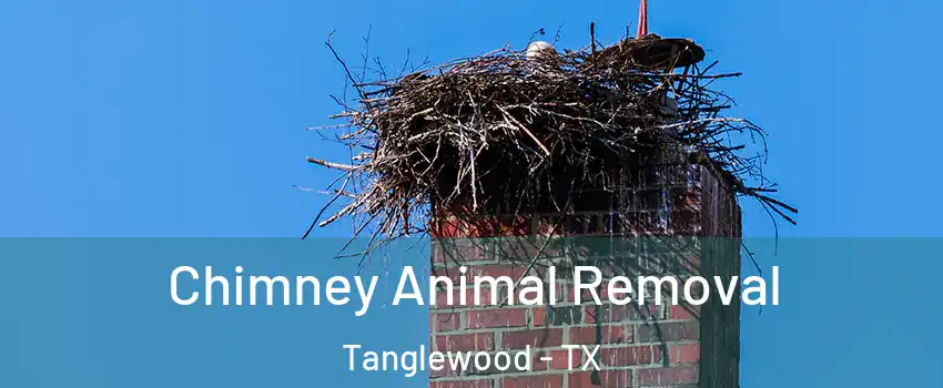 Chimney Animal Removal Tanglewood - TX