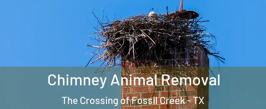 Chimney Animal Removal The Crossing of Fossil Creek - TX