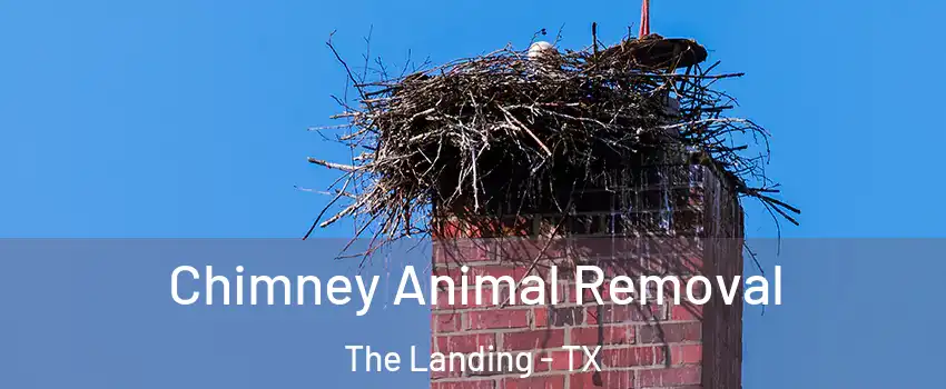 Chimney Animal Removal The Landing - TX