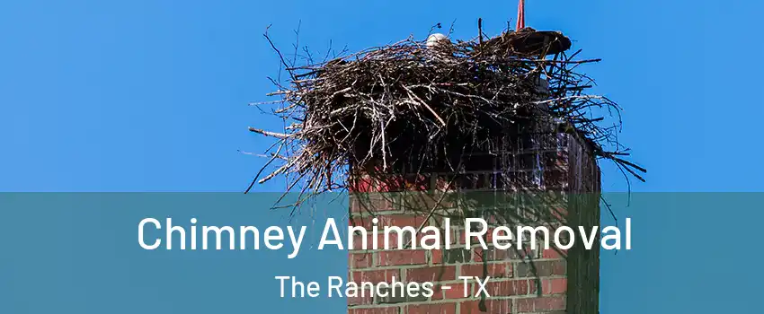 Chimney Animal Removal The Ranches - TX