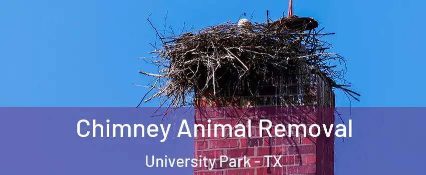 Chimney Animal Removal University Park - TX