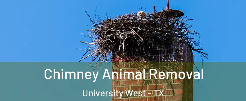 Chimney Animal Removal University West - TX