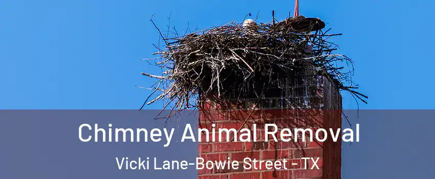 Chimney Animal Removal Vicki Lane-Bowie Street - TX
