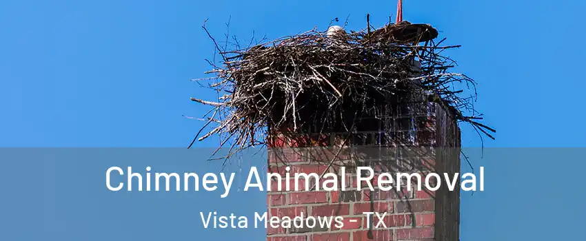 Chimney Animal Removal Vista Meadows - TX
