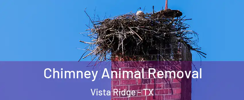 Chimney Animal Removal Vista Ridge - TX