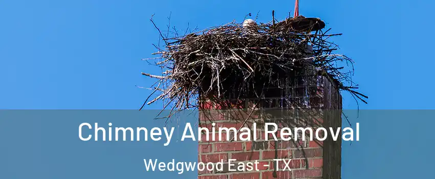 Chimney Animal Removal Wedgwood East - TX