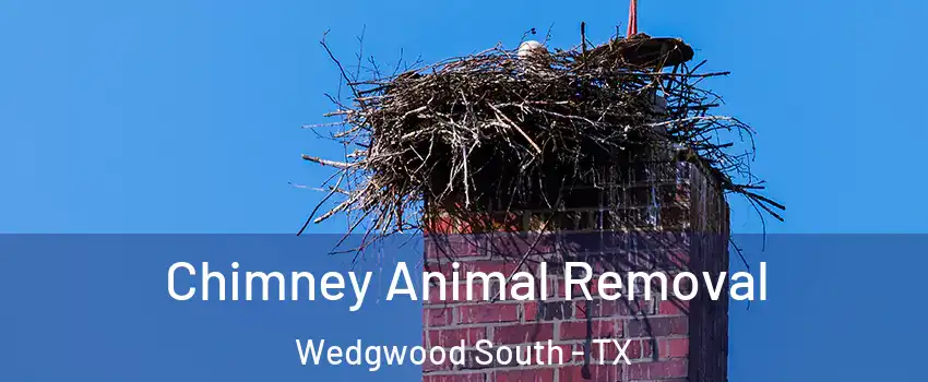 Chimney Animal Removal Wedgwood South - TX