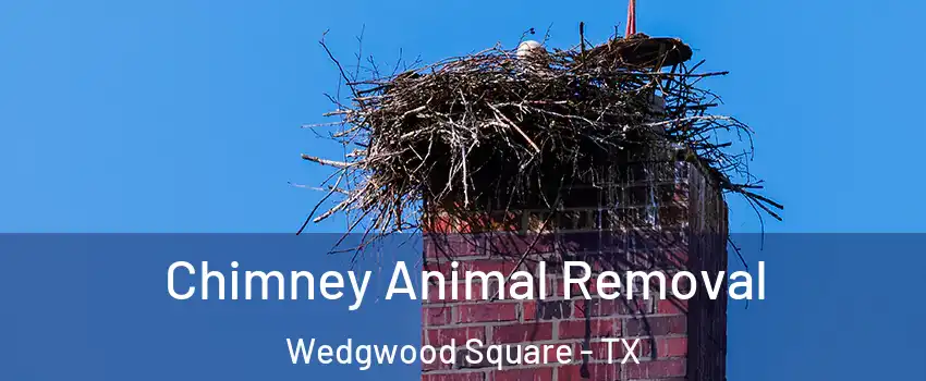 Chimney Animal Removal Wedgwood Square - TX