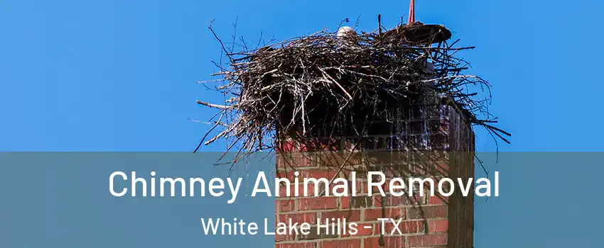 Chimney Animal Removal White Lake Hills - TX