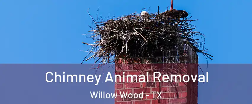 Chimney Animal Removal Willow Wood - TX